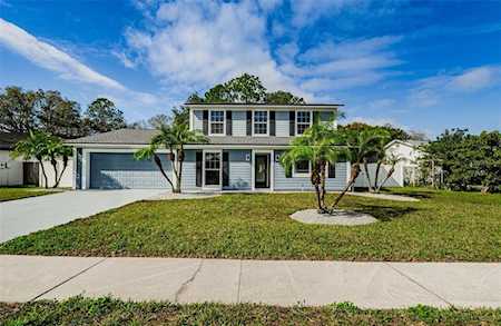 15816 Bridgewater Ln Tampa, FL 33624
