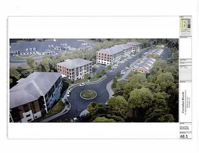 21024 Cornelia Grove Way Cornelius, NC 28031