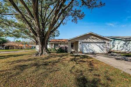 1004 Vineyard Ct Dunedin, FL 34698