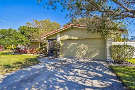 1926 Ibis Dr Clearwater, FL 33764