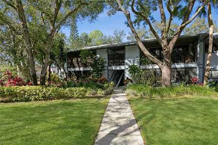 3241 Fox Chase CIRCLE N #204 Palm Harbor, FL 34683