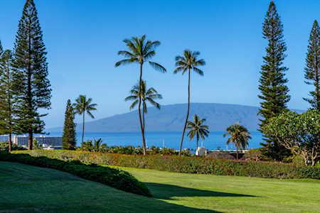 50 Puu Anoano St #905 Lahaina, HI 96761
