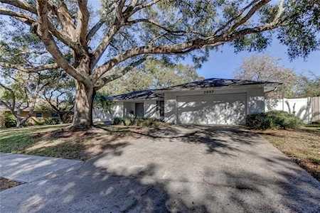 2007 Castille Dr Dunedin, FL 34698
