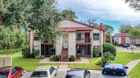 3455 Countryside Blvd #61 Clearwater, FL 33761