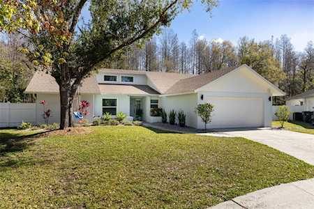 4401 Summer Oak Dr Tampa, FL 33618