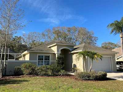 6624 Appaloosa Dr Tampa, FL 33625