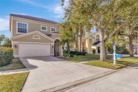 19328 Aqua Springs Dr Lutz, FL 33558