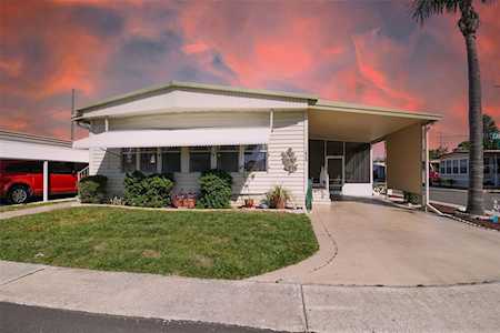 34635 Camphor Dr N Pinellas Park, FL 33781