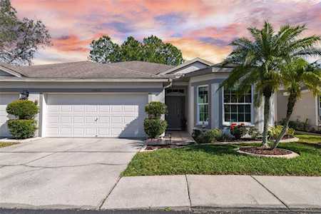 10041 Bucklin St Tampa, FL 33625