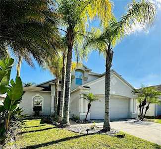 25353 Geddy Dr Land O Lakes, FL 34639