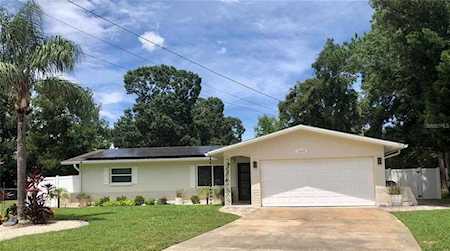 1265 Lazy Lake Rd E Dunedin, FL 34698