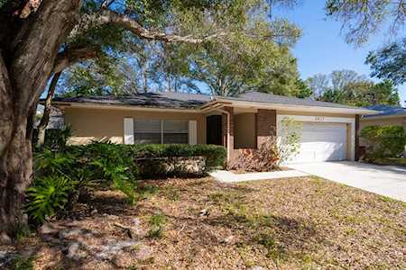 2417 E Orangehill Ave Palm Harbor, FL 34683