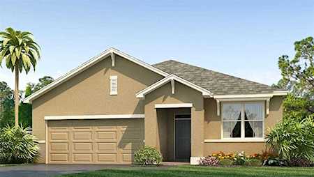 2900 Common Fig RUN Wesley Chapel, FL 33543