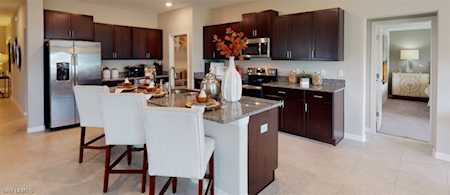 17207 Monte Isola Way North Fort Myers, FL 33917