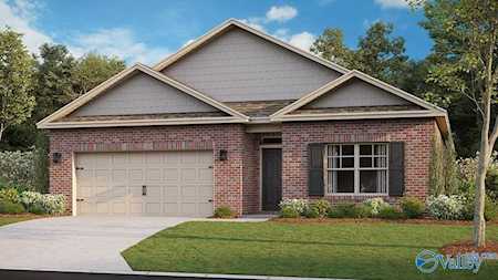 125 Murphy Lane Madison, AL 35756