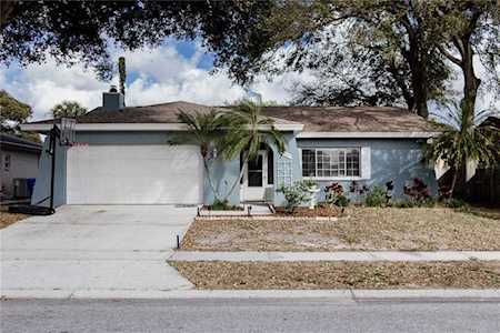 1949 Grove Valley Ave Palm Harbor, FL 34683