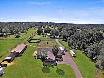 15668 N Highway 329 Reddick, FL 32686