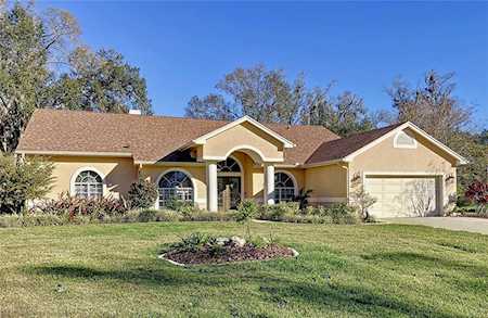 17003 Amber Lake Ct Lutz, FL 33549
