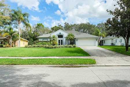 4443 Glenbrook Ln Palm Harbor, FL 34683
