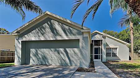 4605 Steel Dust Ln Lutz, FL 33559