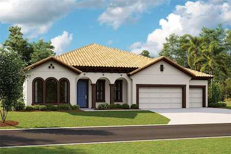 175 Mossy River Ct Brandon, FL 33511