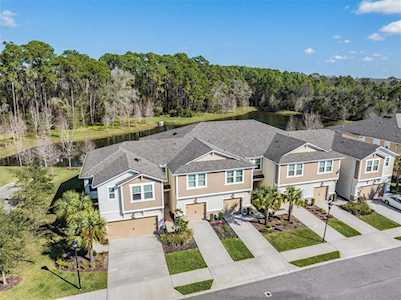 5527 Cumberland Star Ct Lutz, FL 33558