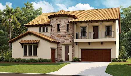 231 Mossy River Ct Brandon, FL 33511