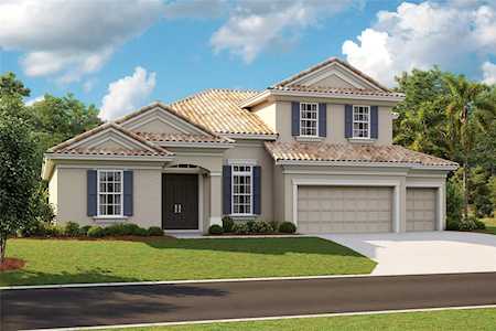 177 Sabal Breeze Ct Brandon, FL 33511