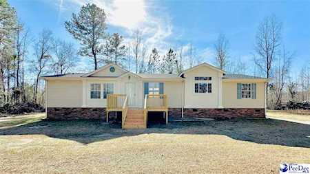 4447 Jenkins Nowlin Rd Effingham, SC 29541
