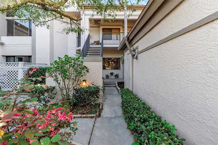 3044 Red Oak Ct #103 Palm Harbor, FL 34684