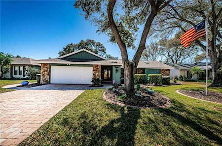 48 Crane Dr Safety Harbor, FL 34695