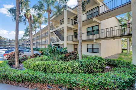 14130 Rosemary Ln #6319 Largo, FL 33774