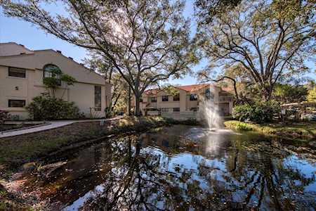 304 Los Prados Dr #304 Safety Harbor, FL 34695