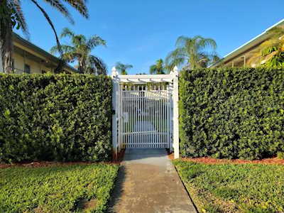 527 9th Ave N #32 St. Petersburg, FL 33701