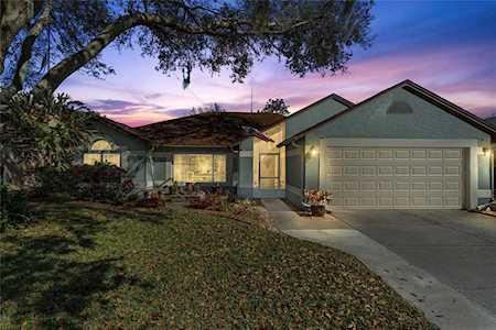 2344 Foggy Ridge PARKWAY Land O Lakes, FL 34639