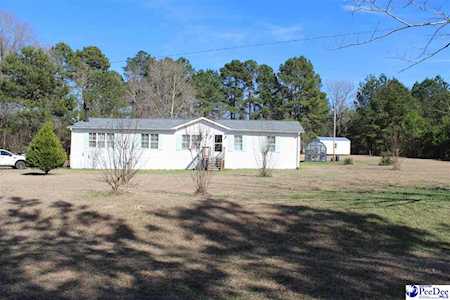 1194 Brandywine Trce. Summerton, SC 29148
