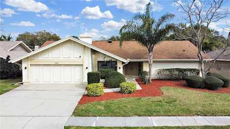 1665 Ridge Top WAY Clearwater, FL 33765