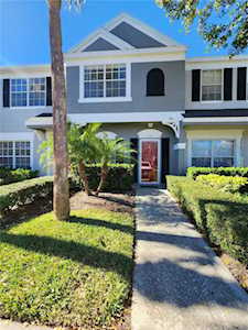 242 Countryside Key Blvd Oldsmar, FL 34677