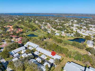 1043 Tartan Dr #E Palm Harbor, FL 34684