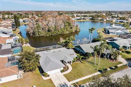 8121 Damara Dr New Port Richey, FL 34653