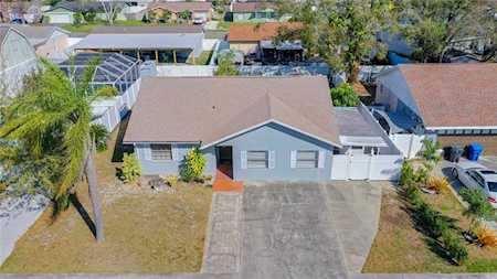 10922 Tailfeather Ct Tampa, FL 33625