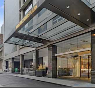 1000 N Lake Shore Plaza #36C Chicago, IL 60611