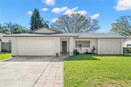 1957 Sourwood Blvd Dunedin, FL 34698