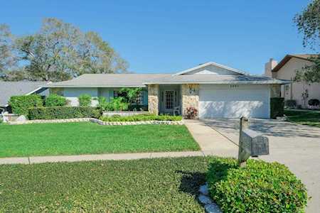 2683 Winding WAY Palm Harbor, FL 34683