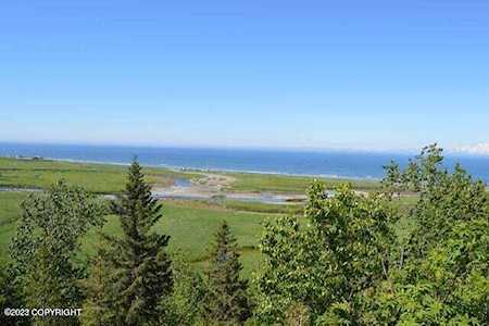 34101 Hms Resolution Rd Anchor Point, AK 99556