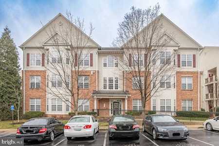 6475 Cheyenne Dr #303 Alexandria, VA 22312