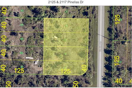 2125 & 2117 Pinellas Dr Punta Gorda, FL 33983