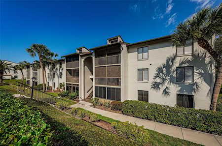 2677 Pine Ridge WAY N #E3 Palm Harbor, FL 34684