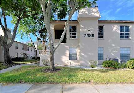 2985 Bonaventure CIRCLE #204 Palm Harbor, FL 34684