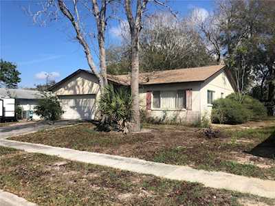 2075 E Orangehill Ave Palm Harbor, FL 34683